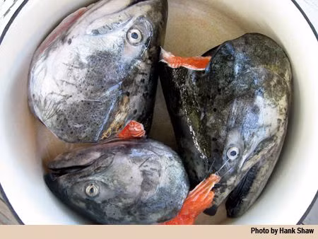 Nhiều người chỉ cần ngửi thấy mùi của Tepa đã thấy buồn nôn và chuyện ăn chúng là một “nhiệm vụ bất khả thi”.