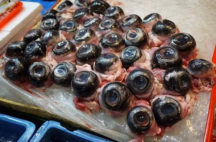 Ban đầu mới nghe món mắt cá, nhiều du khách thường lắc đầu ngao ngán nhưng đến khi nhìn thố mắt cá ngừ bốc khói tỏa mùi thơm ngây ngất trên bàn, họ bắt đầu tỏ ra thích thú.