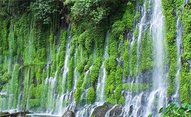 11. Thác Asik-Asik, Philippines. Nằm ở Alamada, Bắc Cotabato, thác Asik-Asik cao 60m, rộng 140m và nước ở đây được cho là có khả năng chữa bệnh. Điều đặc biệt là phía trên thác nước không hề con sông nào, trong khi nước ở thác cứ ào ạt chảy ra từ một con dốc núi đá phủ đầy rêu xanh. Dòng nước từ thác rất sạch và mát lạnh nên du khách có thể uống được. Chính quyền địa phương vừa xây một con đường đến thác Asik-Asik để khai thác du lịch.