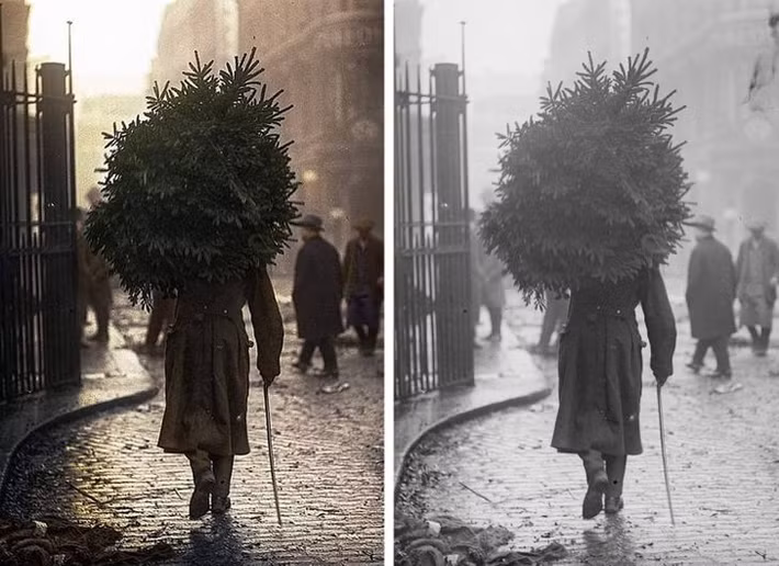Sau khi được "tô màu", bức ảnh chụp người đàn ông mang cây thông về nhà ở Chelsea, London, Anh năm 1914 giống như sự việc mới xảy ra gần đây.