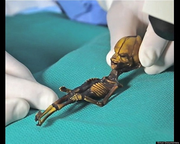 Sau nhiều năm nghiên cứu, giáo sư Nolan và chuyên gia Butte đi đến kết luận xác ướp Atacama thực sự là của con người.