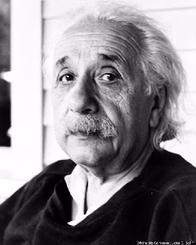 Thế nhưng, khi 20 tuổi, Eduard phát bệnh thần kinh. Kể từ đó, người con này của Einstein sống phần lớn thời gian trong viện tâm thần tại Thụy Sĩ trước khi qua đời năm 1965.