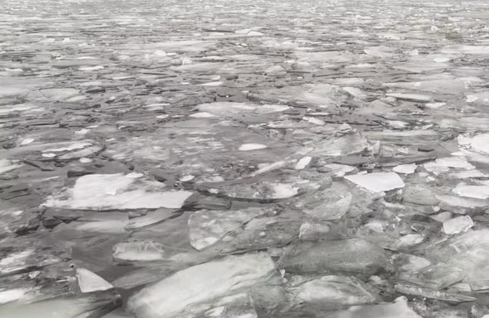 "Không thức ăn trong 71 ngày. Tôi là người duy nhất sống sót", thuyền trưởng Jenny viết trong nhật ký hành trình của con tàu.