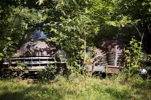 Biệt danh này xuất phát từ việc bãi xe ô tô phế thải Old Car City có hơn 4.000 ô tô cũ nằm rải rác trên diện tích gần 140.000 m2 rừng.