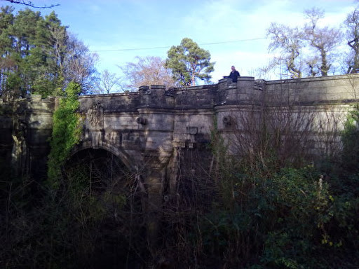 Tất cả chỉ là giả thuyết. Đến nay, người ta vẫn chưa tìm ra lời giải cho hàng loạt cái chết của những con chó ở cầu Overtoun. 