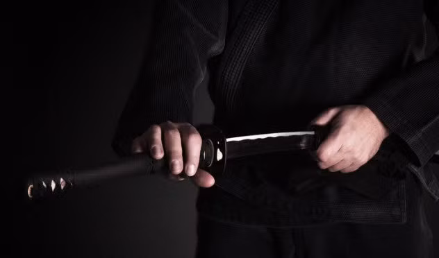 Khả năng chiến đấu thực tế của những Ninja là một bí ẩn lớn khiến nhiều người tò mò.