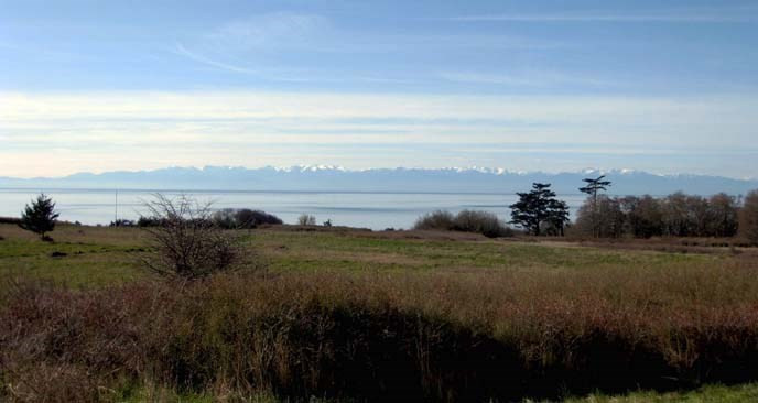 Đến năm 1871, Hoàng đế Kaiser của Đức được Anh và Mỹ thống nhất chọn làm trọng tài xử tranh chấp chủ quyền hòn đảo San Juan. Theo đó, Hoàng đế Kaiser phán quyết hòn đảo thuộc về Mỹ. Sau khi có phán quyết, lực lượng và người dân Anh rời khỏi đảo.