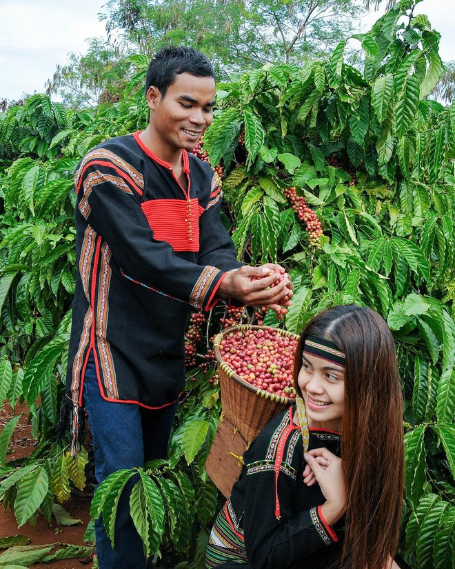 Lễ hội cà phê Buôn Ma Thuột là sự kiện được tổ chức định kỳ 2 năm một lần vào tháng 3. Với chủ đề "Tinh hoa đại ngàn", Lễ hội cà phê Buôn Ma Thuột lần 7 năm 2019 dự kiến diễn ra từ ngày 9-16/3, hứa hẹn thu hút hàng chục nghìn du khách tham gia. Đây là dịp quảng bá thương hiệu cà phê Buôn Ma Thuột nổi tiếng, tôn vinh người trồng, chế biến và kinh doanh cà phê, từng bước đưa Buôn Ma Thuột trở thành điểm đến của cà phê thế giới...