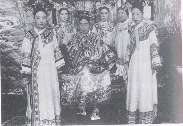 Trong cuốn hồi ức mang tên "Hình bóng hoàng triều", người thân cận bên cạnh Từ Hy Thái Hậu là Đức Linh Công chúa từng miêu tả: "Thái hậu phong tư thướt tha, đẹp như thiếu nữ, đó là điều mà người trong cung ai cũng ngưỡng mộ". Tuy nhiên, nhiều ảnh của bà bị hậu thế buông lời chê là kém sắc.