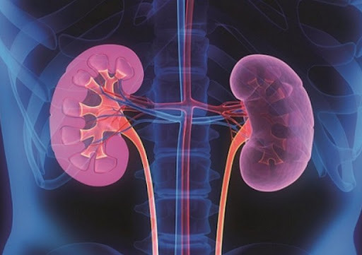 Nếu không được điều trị kịp thời sẽ chuyển sang giai đoạn nhiễm độc niệu, có thể xuất hiện tình trạng sưng tấy kéo dài hoặc toàn thân. Khi bị phù nề toàn thân, cần nhận biết bệnh đã rất nghiêm trọng và đi khám ngay lập tức.