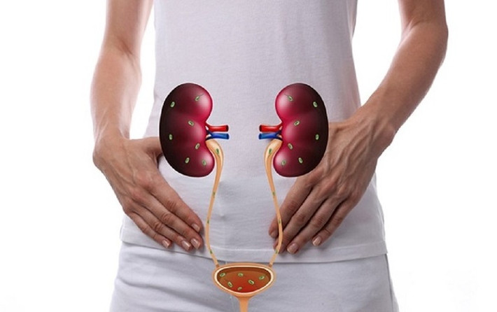 2. Nước tiểu có bọt, tiểu ra máu: Chức năng thận suy giảm có thể dẫn đến rò rỉ một lượng lớn protein, do đó, bệnh nhân mắc bệnh thận thường có protein niệu, tức là có thể xuất hiện các bong bóng trên bề mặt nước tiểu khi đi tiểu.