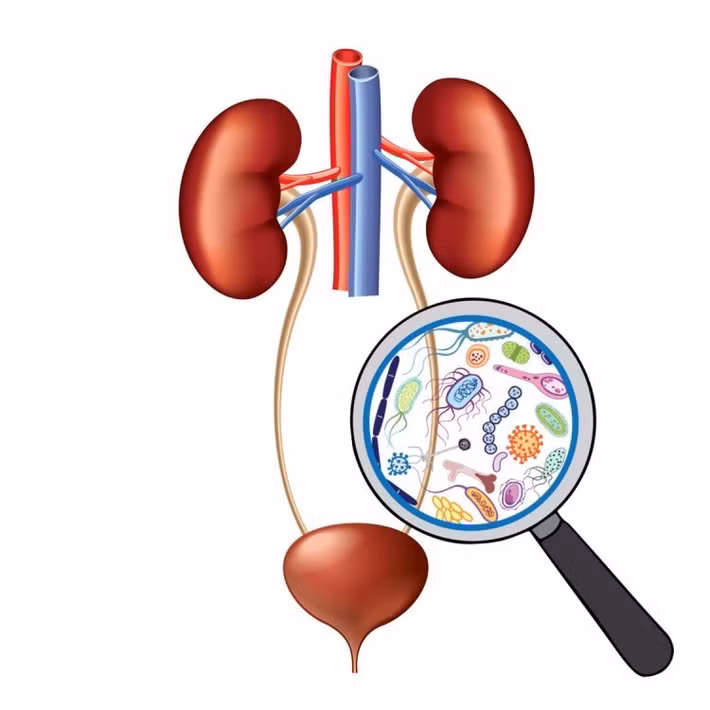 3. Chóng mặt và mệt mỏi: Tình trạng chóng mặt, mệt mỏi rất thường gặp trong cuộc sống. Khi có triệu chứng này, mọi người thường nghĩ là do làm việc quá sức hoặc do thiếu máu, huyết áp thấp.