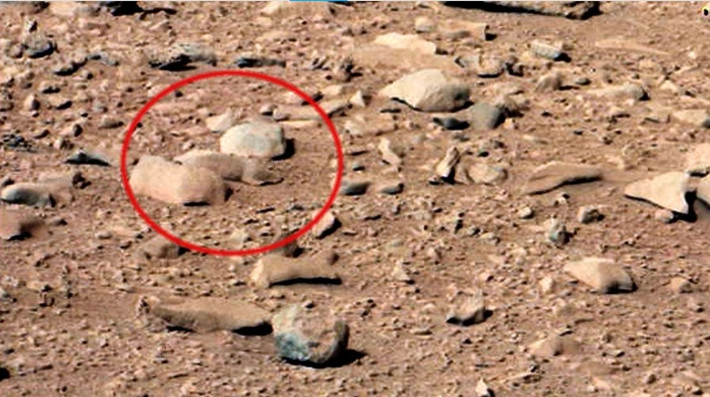 Công chúng thích thú khi xem bức ảnh do tàu Curiosity chụp về một hòn đá có hình dáng giống con sóc ở khu vực cồn cát Rocknest trên sao Hỏa.