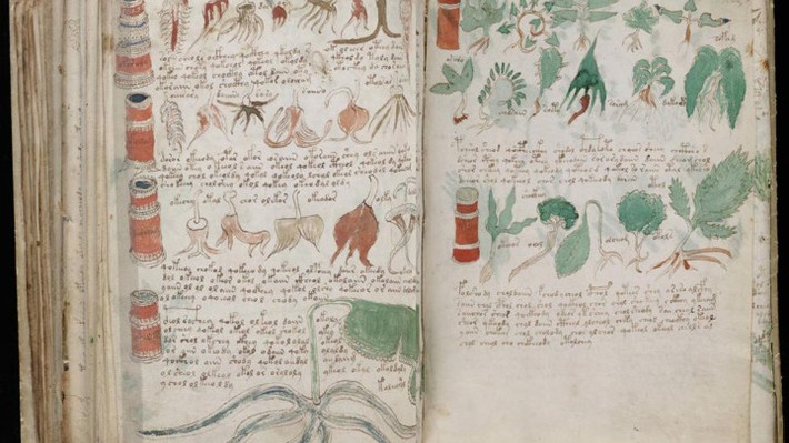 Bản thảo Voynich được đánh giá là cuốn sách bí ẩn nhất thế giới. Nó được Hoàng đế Rudolf II (1552 - 1612) tại xứ sở Bohemia mua với giá 600 đồng đuca (đơn vị tiền vàng ngày xưa ở châu Âu).
