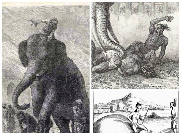 Trong số nhiều loại động vật, Ấn Độ sử dụng voi để xử tử tù nhân bởi vì loài vật này có kích thước to lớn và dễ huấn luyện để có thể phục tùng mệnh lệnh của người hành hình.