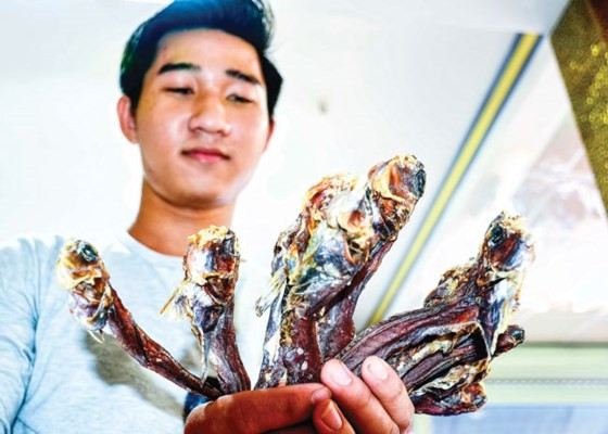 Bên cạnh đó, Cá thòi lòi còn có thể làm khô. Khô cá thòi lòi đem chiên hoặc nướng chấm nước mắm me thì trên cả tuyệt vời. Ảnh: Sài Gòn Đầu Tư.