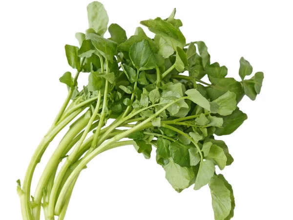 Cải xoong: Loại rau này giúp cải thiện thị lực. Vitamin C đóng vai trò trong việc giảm thiểu nguy cơ bị đục thủy tinh thể. Lượng vitamin A cao trong cải xoong cũng có vai trò quan trọng trong việc cải thiện thị lực của bạn. Vì vitamin giúp duy trì đôi mắt khỏe mạnh và ngăn ngừa sự xuất hiện của bất kỳ vấn đề hoặc rối loạn thị giác nào như thoái hóa điểm vàng.