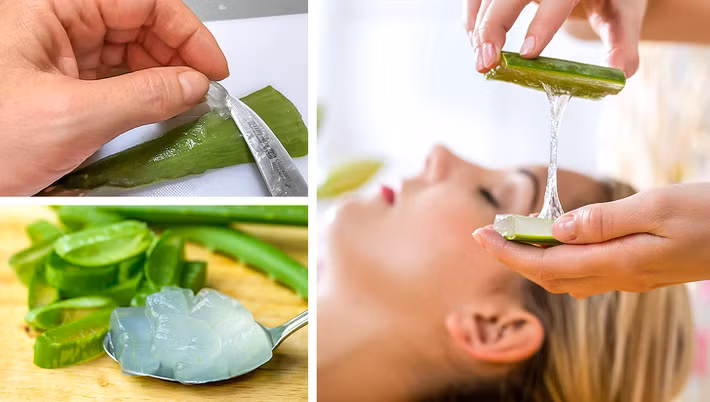Dưỡng ẩm cho da: Hàm lượng vitamin E cao trong nha đam giúp dưỡng ẩm, làm mềm da hiệu quả, đặc biệt là khi thời tiết hanh khô.