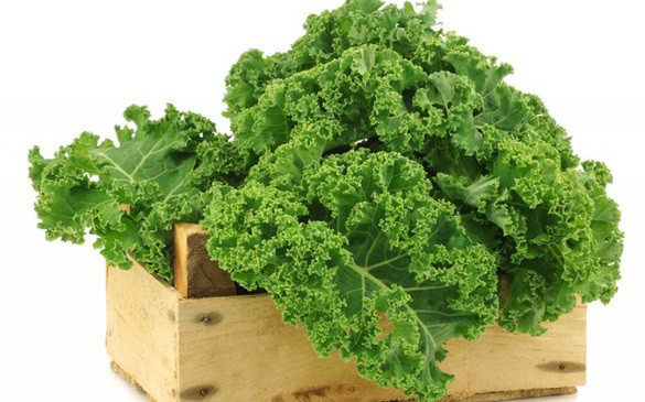 Cải xoăn kale: Trong cải xoăn có chứa một hàm lượng lớn chất sắt cùng vitamin A, C, K, carotenoid, flavonoid,… Có tác dụng ngăn ngừa ưng thư, giảm cholesterol xấu LDL, giảm nguy cơ mắc các bệnh về tim mạch.