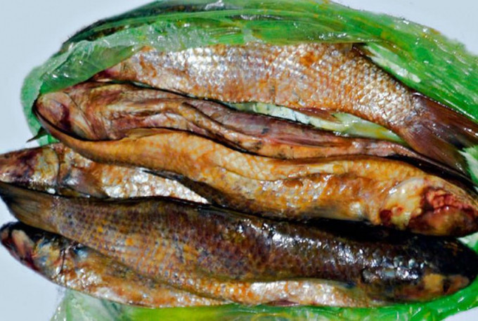 Cá đối Ai cập Fesikh: Đây là một món ăn truyền thống của người Ai Cập, họ sẽ ủ cá đối lên men trong 45 ngày, đến khi cá có mùi hôi thối thì mang ra thưởng thức. Đây thực sự là một món ăn kinh dị và có khi dẫn đến chết người. Món ăn này đã khiến cho bao du khách phải sợ khiếp vía, không dám lại gần.