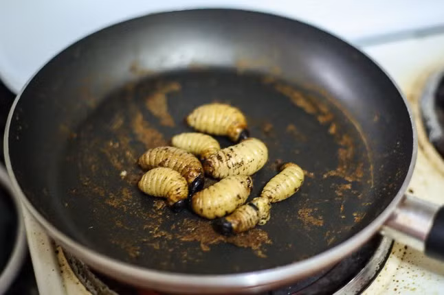 Tuy nhiên, người Tây Phi họ lại thích xào nấu đuông cọ để ăn nên khi ra thành quả nhìn không được bắt mắt cho lắm. Cho dù vậy thì người ta vẫn đánh giá đây là món ăn cực kì bổ dưỡng, có nhiều protein và chất béo.