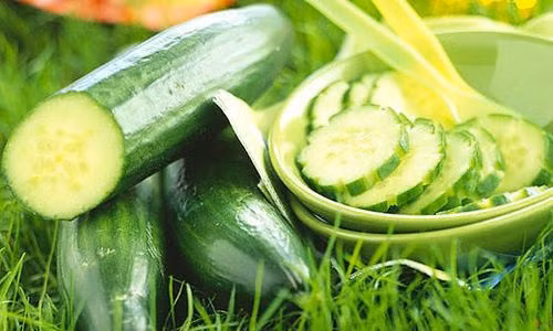 Dưa chuột: Chỉ cần cắt một khoanh dưa chuột đắp lên môi sẽ mang lại hiệu quả mềm mại bất ngờ cho đôi môi. Ảnh: Internet.