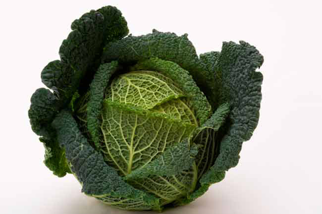 Nước ép bắp cải: Nước ép cải bắp mang lại nhiều lợi ích sức khỏe, trong đó có việc điều trị viêm loét dạ dày. Nhờ có thành phần axit lactic mà nước cải bắp đã được sử dụng để điều trị viêm loét dạ dày từ xa xưa.