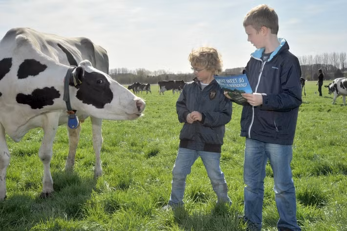 Tiêu chuẩn sữa Hà Lan được xem là tiêu chuẩn đáng tin cậy nhất về sữa tươi trên thế giới. Mỗi năm, Hà Lan xuất khẩu hơn 12 triệu tấn sữa cùng 800.000 tấn phô mai.