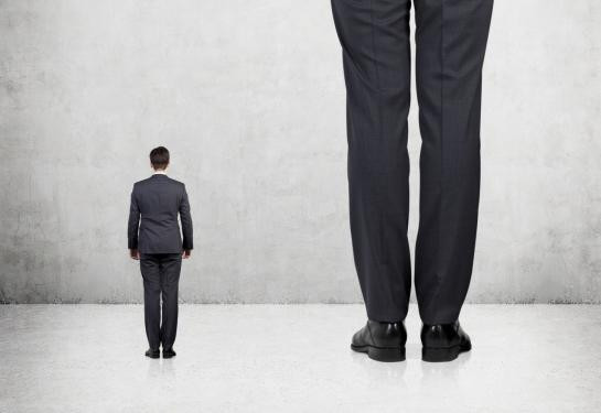 Chiều cao có tính di truyền nên bố mẹ cao thường sinh con cao hơn so với bố mẹ thấp. Vì những người cao sinh nhiều con, con cái họ lại có thể cao hơn bố mẹ. Theo đó, chiều cao trung bình của thế hệ sau sẽ tăng một chút so với thế hệ trước, nếu các điều kiện khác như nhau. Đó là lý do đầu tiên giúp chiều cao của người Hà Lan tăng 15 cm so với 4 thập kỷ trước đây.