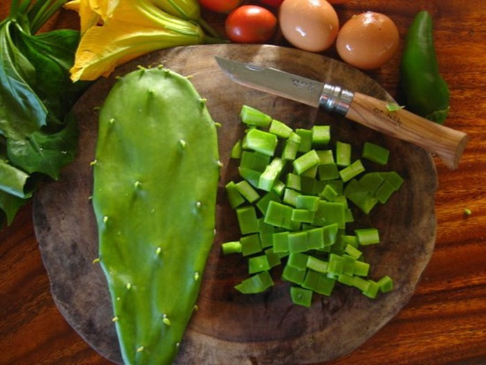 Để lấy được xương rồng, cần khéo léo tách các đọt xương rồng sao cho gai không đâm vào tay. Chế biến xương rồng rất đơn giản. Chỉ cần gọt sạch gai ở bốn phía, tách lớp màng mỏng ở ngoài cho sạch rồi thái mỏng, đem luộc trên bếp chừng 5 phút, khi màu xanh chuyển sang màu vàng là được.