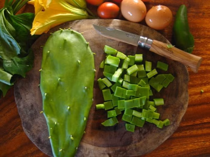 Để lấy được xương rồng, cần khéo léo tách các đọt xương rồng sao cho gai không đâm vào tay. Chế biến xương rồng rất đơn giản. Chỉ cần gọt sạch gai ở bốn phía, tách lớp màng mỏng ở ngoài cho sạch rồi thái mỏng, đem luộc trên bếp chừng 5 phút, khi màu xanh chuyển sang màu vàng là được.