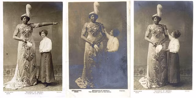 Vào cuối thế kỷ 19, đầu thế kỷ 20, Ella Williams hay còn gọi là Mme Abomah trở thành một cái tên nổi tiếng trong giới biểu diễn ở nhiều nước trên thế giới. Bởi bà là mỹ nhân cao nhất thế giới thời điểm bấy giờ.