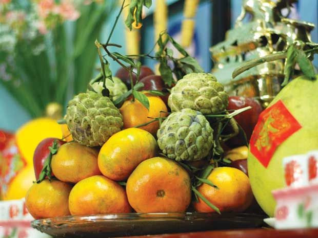 Âm dữ dương đồng, dốc lòng cầu khấn, cúi xin soi tận, ý khẩn tâm thành. Kính thỉnh Bản gia tiên tổ liệt vị chân linh đồng lai hâm hưởng. Cẩn cáo!