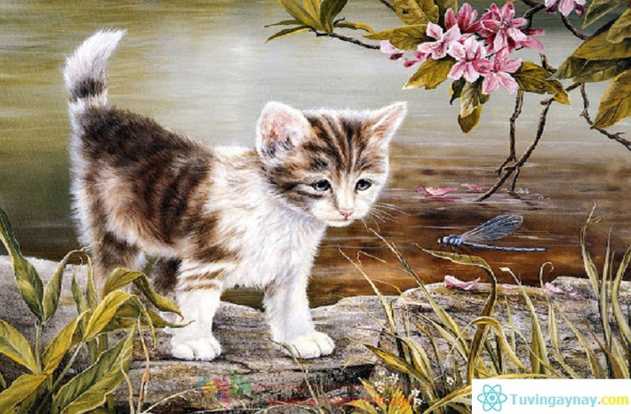 Cuối tháng 7 là lúc thần may mắn mỉm cười với con giáp Mão, khiến cuộc sống của họ trở nên khởi sắc, xua đuổi mọi vận xui. Họ liên tục gặp những cơ hội tốt, chuyển bại thành thắng, từ nghèo khó chuyển sang cuộc sống xông xênh, giàu có.