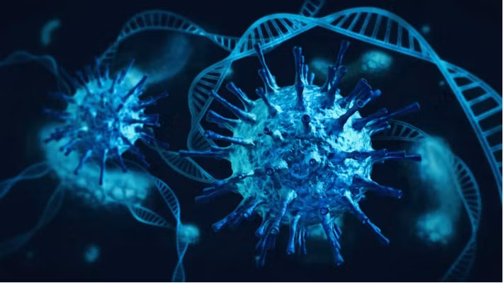 Do đó, các chuyên gia Trung Quốc cảnh báo chỉ cần một đột biến đã đủ để chủng virus NeoCoV có khả năng xâm nhập tế bào người.