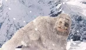 Trước những câu chuyện về người tuyết, một số chuyên gia, người dân sinh sống gần dãy Himalaya đã tổ chức các cuộc săn lùng sinh vật huyền bí này. Tuy nhiên, đến nay, họ vẫn chưa tìm ra tung tích của người tuyết hay bằng chứng xác thực giúp chứng minh sinh vật này có thật.