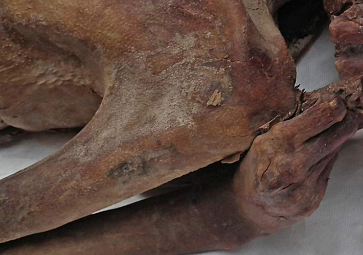 Trên xác ướp phụ nữ Ai Cập thời cổ đại, người ta cũng phát hiện hình xăm nhỏ trên đùi khắc họa thần Bes - vị thần bảo hộ thai phụ.