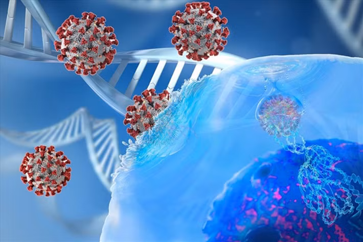 Qua phân tích dữ liệu ghi nhận và báo cáo triệu chứng COVID-19 bằng thiết bị di động của hơn 4,6 triệu người bệnh mắc COVID-19 trên toàn cầu, các chuyên gia nhận định những triệu chứng thường gặp ở người bệnh mắc biến chủng Delta là: đau đầu, đau họng và sổ mũi.