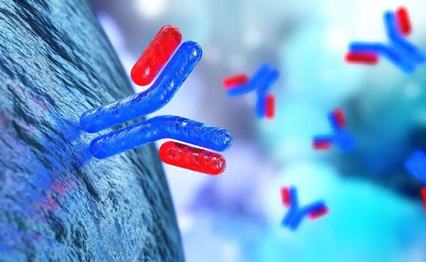 Cũng theo Levi, các thử nghiệm và nghiêm cứu lâm sàng chứng minh, thuốc Ronapreve có khả năng chống lại và vô hiệu hóa các biến thể COVID-19 mới, trong đó bao gồm cả biến thể Delta - một biến thể nguy hiểm khiến dịch bệnh lây lan nhanh chóng.