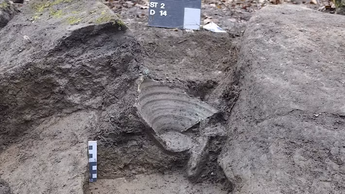 Do tình trạng của những đồng tiền cổ khá kém nên đến nay các chuyên gia mới chỉ xác định 100 đồng tiền. Hầu hết chúng khắc họa chân dung của một hoàng đế La Mã hoặc Gallia ở một mặt và các hình ảnh khác ở mặt sau như thần Hercules và Mars.