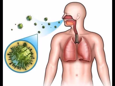 Vào năm 1945, Mỹ có hơn 18.000 trường hợp mắc bệnh bạch hầu. Từ năm 1980 - 1994, chỉ có 41 người ở Mỹ mắc bệnh bạch hầu.