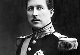 Kết quả cho thấy vết máu trên những chiếc lá thực sự thuộc về Vua Albert I. Tuy nhiên, các nhà điều tra không thể lý giải được vì sao những chiếc lá có vết máu nhà vua quá cố lại bị người ngoài lấy đi trong khi nơi ông qua đời được bảo vệ chặt chẽ.