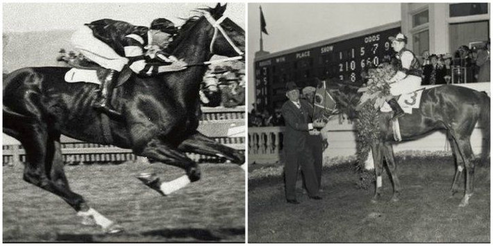 Điều ngạc nhiên là ông Hayes vượt qua 20 đối thủ để trở thành nhà vô địch. Khi mọi người tới chúc mừng, họ phát hiện ông Hayes tử vong.