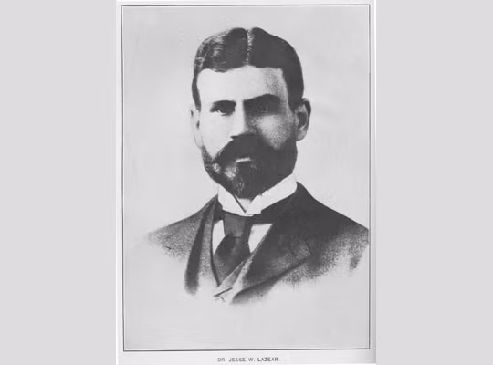 Vài ngày sau, bác sĩ Lazear tử vong vì mắc căn bệnh mà bản thân đang cố chứng minh. Cái chết của ông khiến nhiều người thương tiếc vì hy sinh cho nền khoa học.