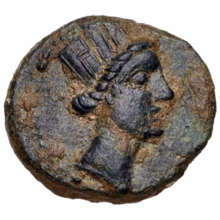 Điều này cho thấy Nữ hoàng Cleopatra có dung mạo khá xấu xí, khác xa với các giai thoại ca ngợi vẻ đẹp của bà.