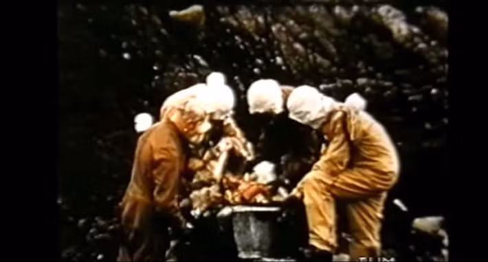 Trong bối cảnh đó, Thủ tướng Anh Winston Churchill nhanh chóng triển khai dự án nhằm kiểm tra tính khả thi của việc sử dụng vũ khí sinh học để sẵn sàng đáp trả và ngăn chặn cuộc tấn công tương tự của Hitler nhằm vào nước này.