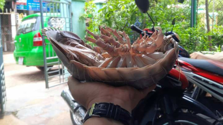 Gia vị chấm bọ biển cũng đơn giản như cách chế biến, chỉ cần chút muối ớt, ăn kèm rau răm.