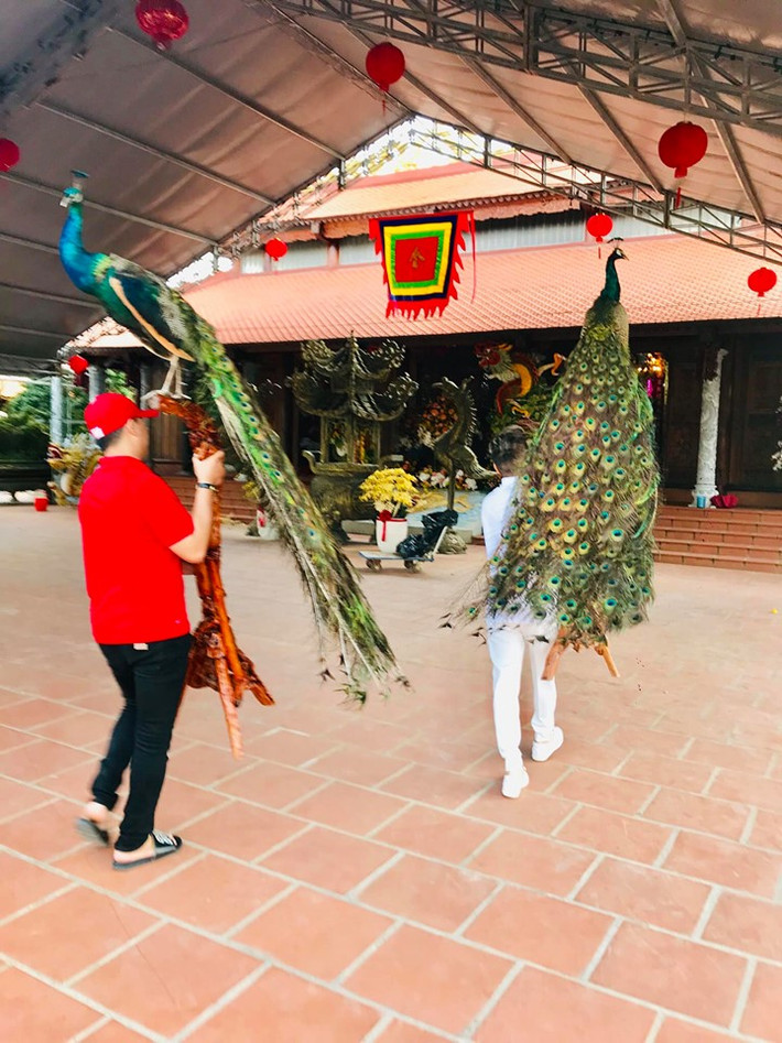 Đặc biệt, ca sĩ Đàm Vĩnh Hưng còn mang đến Nhà thờ Tổ của Hoài Linh lễ vật độc đáo là cặp chim công được chế tác tinh xảo, đẹp mắt.