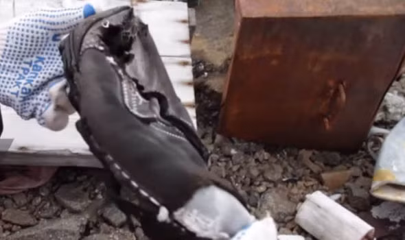 Thế nhưng, các chuyên gia không tìm thấy bằng chứng nào cho thấy quan chức cấp cao phát xít Đức từng đến đây ẩn náu sau khi Thế chiến 2 kết thúc.