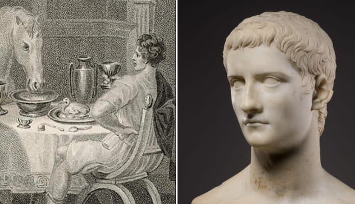 Không những vậy, một số tài liệu còn ghi chép về việc con ngựa Incitatus được người hầu cho ăn yến mạch trộn với vảy vàng.